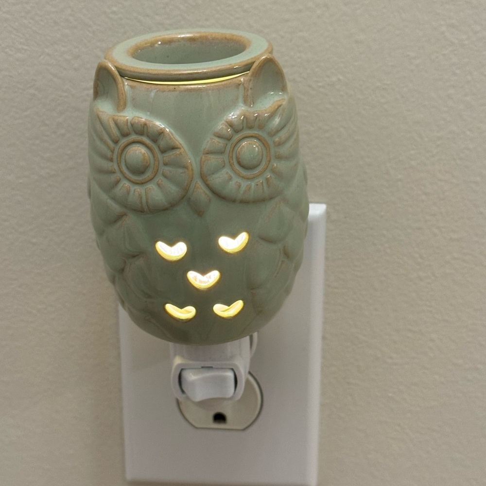 Scentsy Floral Wax Warmer w/ Wax Melts, non-Scentsy owl warmer & 2 Yankee Candle - Picture 10 of 16